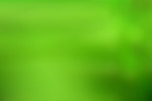 Sådan finder du den perfekte vandskift-rutine til dit akvarie