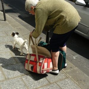 Hvordan opbevarer du din hundetaske og hundebur på den bedste måde?