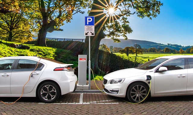 5 ting du skal tjekke, før du køber en brugt tesla model 3